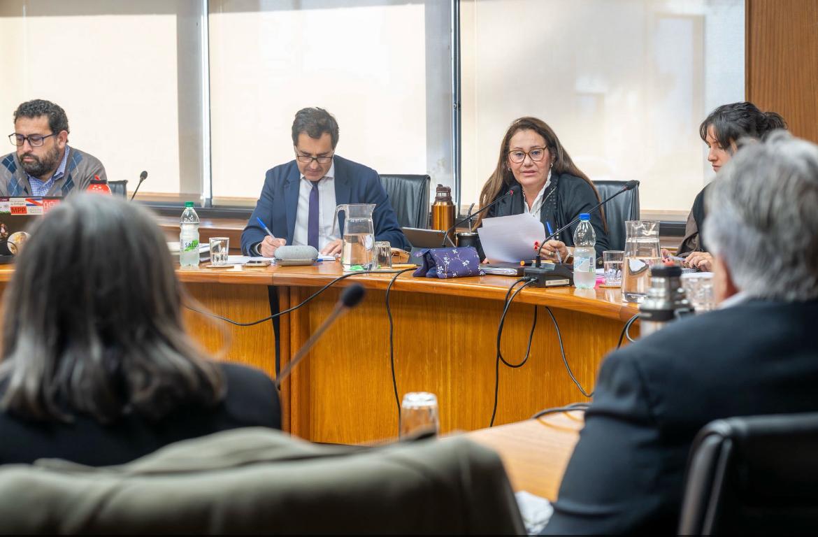 Fotografía realizada por el equipo de Fotografía del Parlamento Uruguayo.