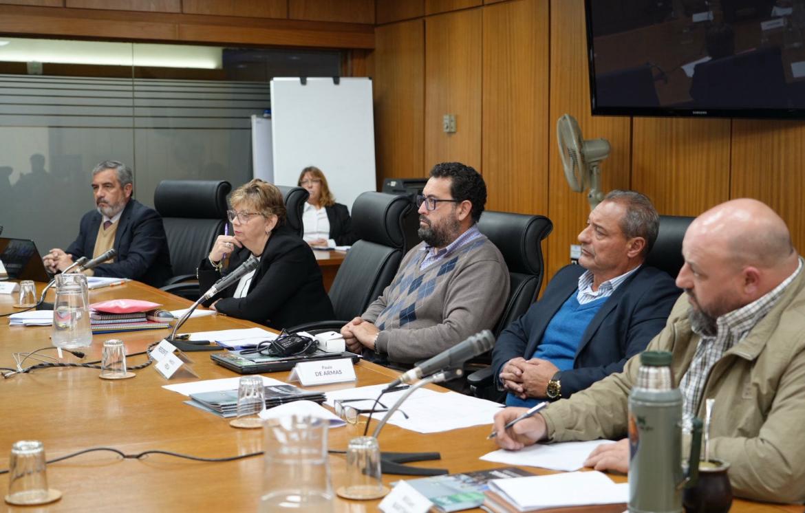 Fotografía realizada por el equipo de Fotografía del Parlamento Uruguayo.